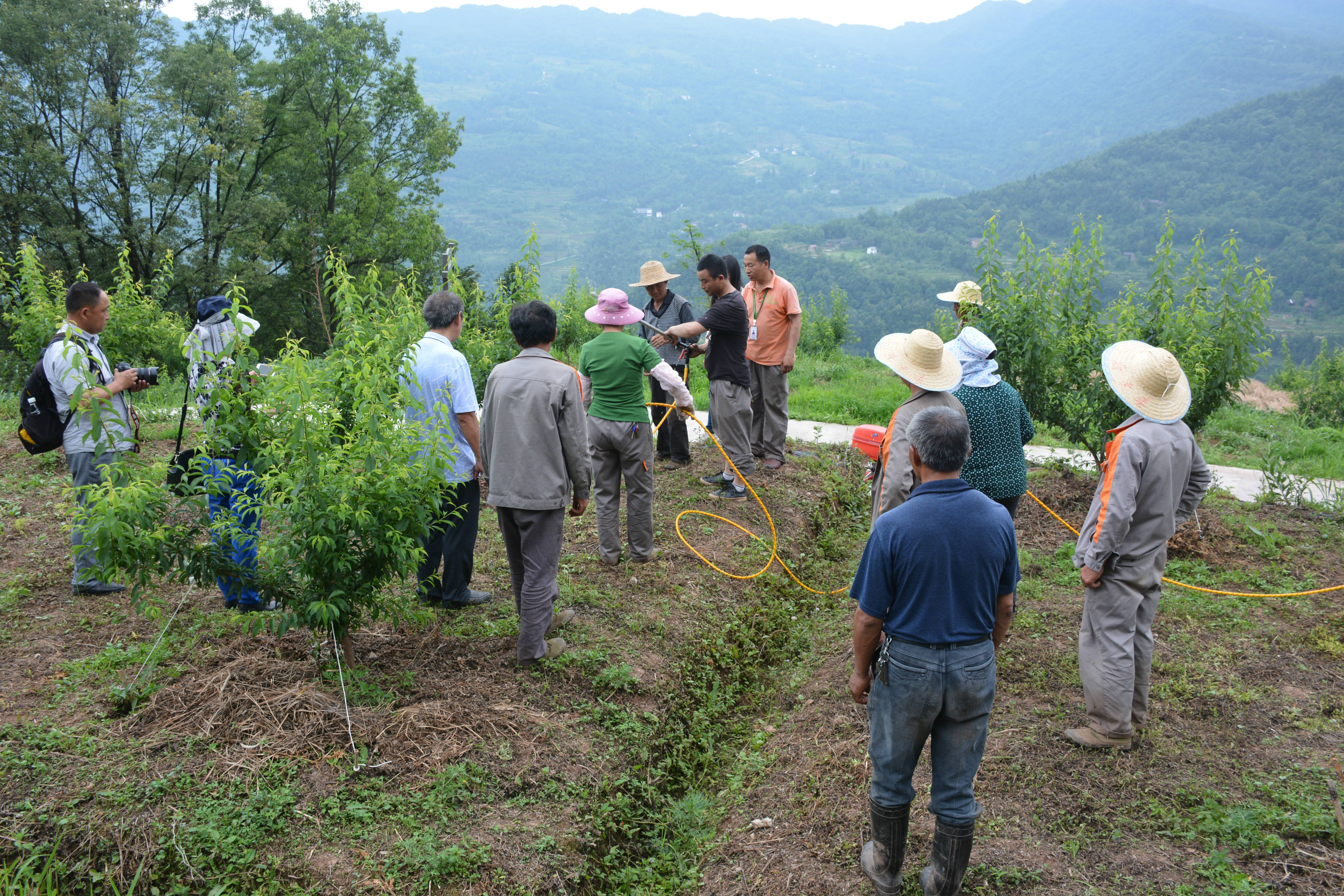 松柏生態(tài)農(nóng)業(yè)有機種植園區(qū)，各方面檢驗指標優(yōu)良